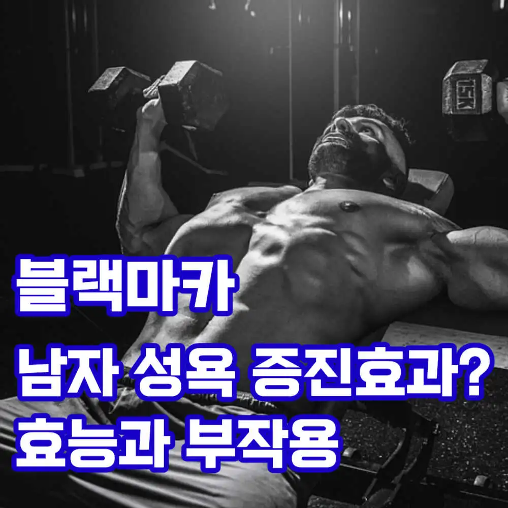 블랙마카 효능과 부작용