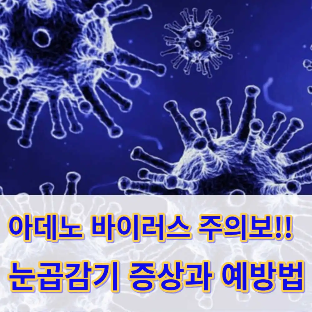 아데노 바이러스 증상