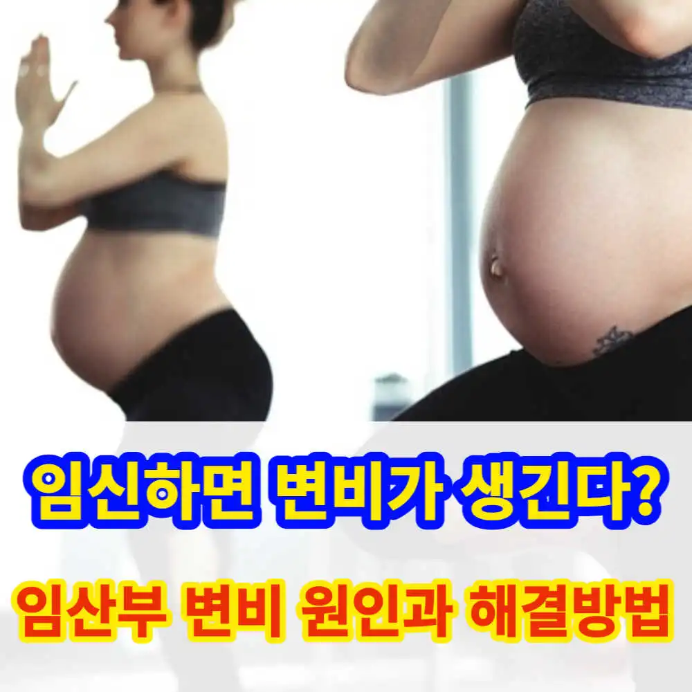 임산부 변비 원인과 해결방법