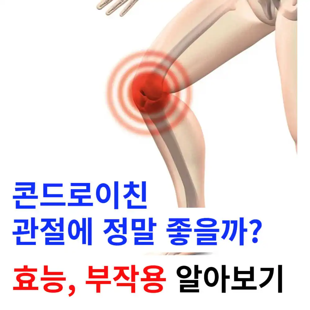 콘드로이친 효능 부작용 알아보기